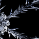 Image for article titled All the Essential Science Fiction and Fantasy Books Coming in 2014